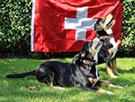 Dari besucht mich (18.09.2024)