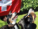 Wir haben gute Laune... (18.09.2024)