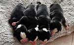Unsere Kids ;-) (geb. 15.11.2024)